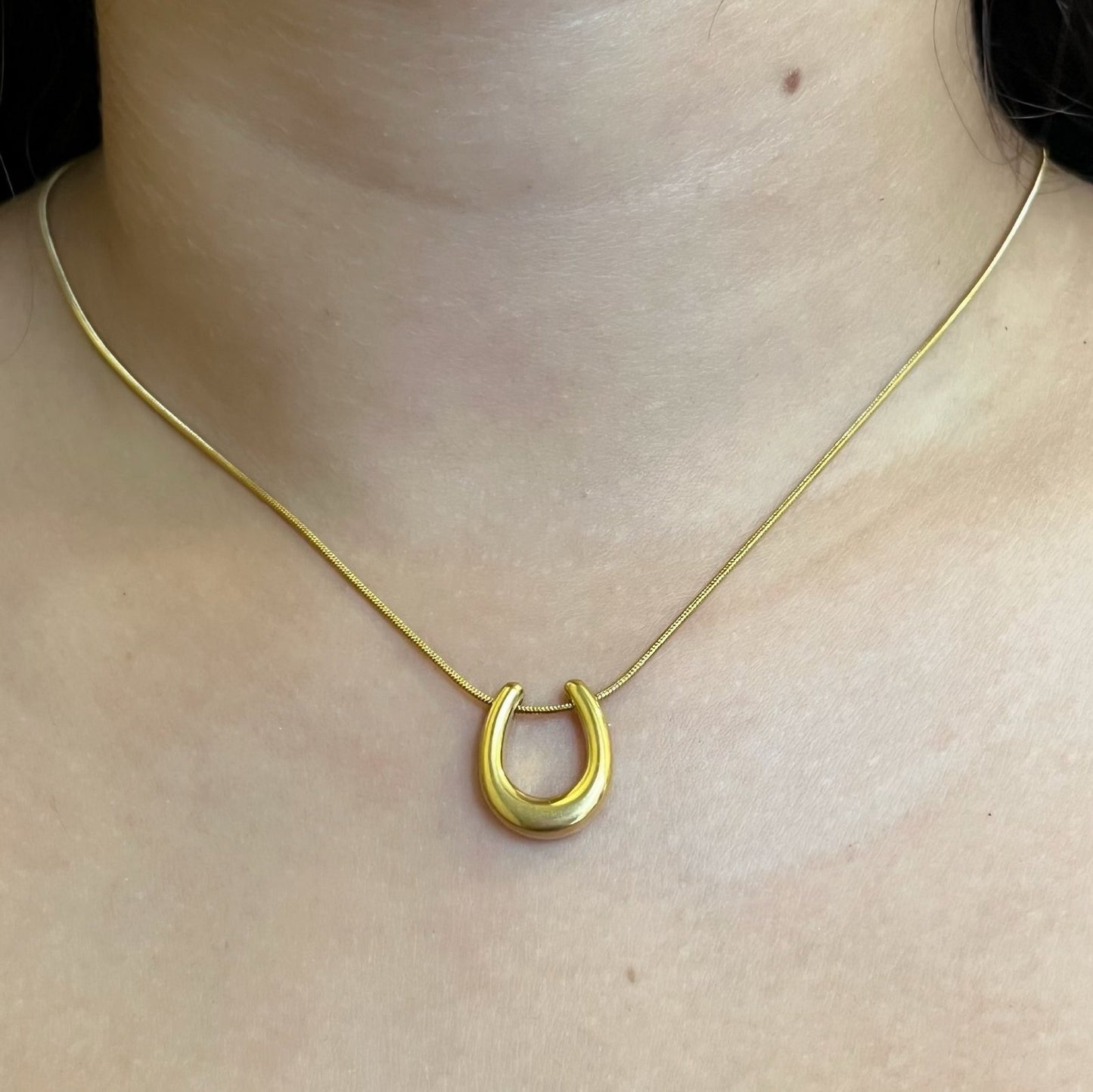 Horseshoe Necklace