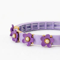 Wisteria