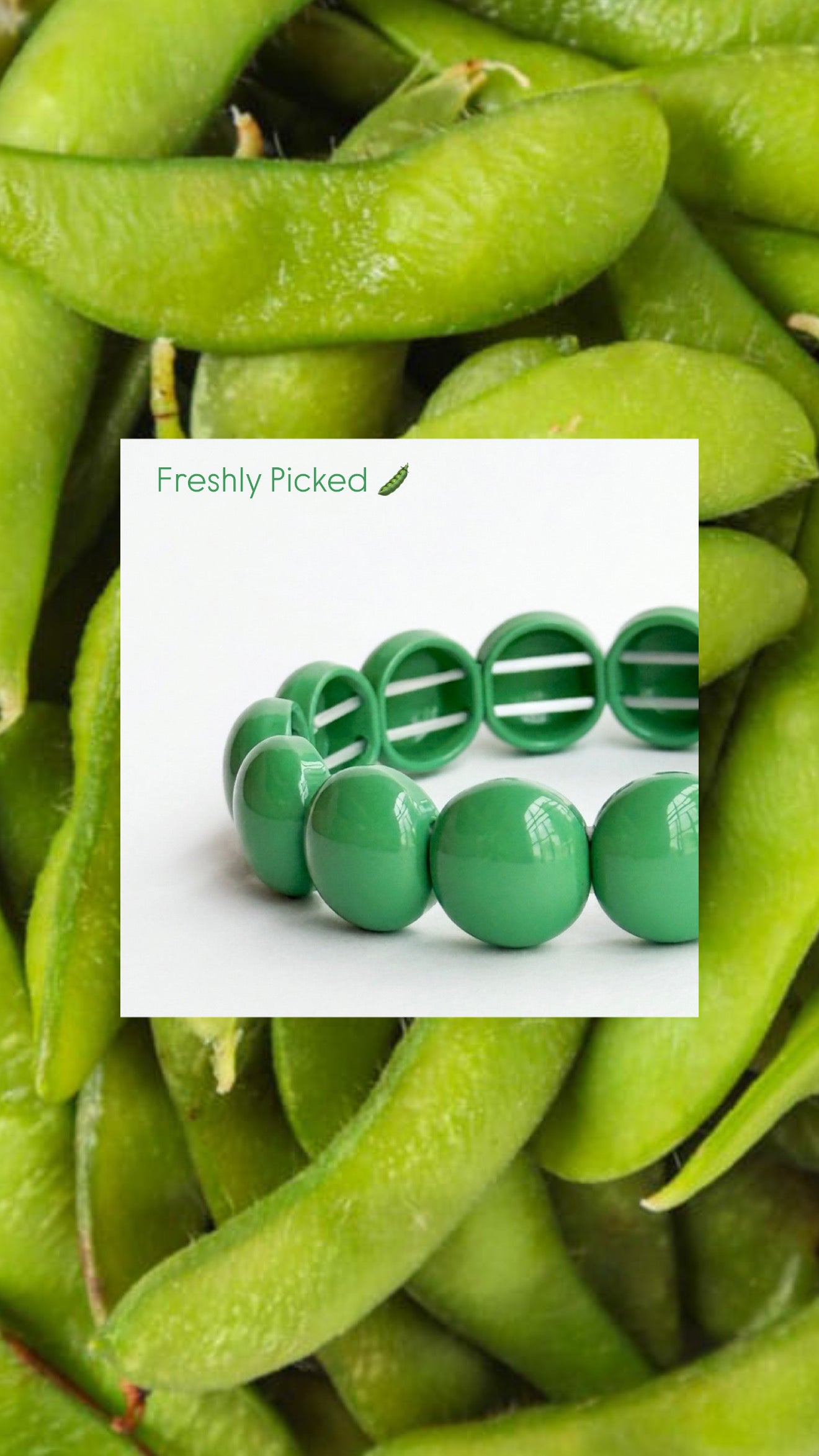 Edamame Bonbon