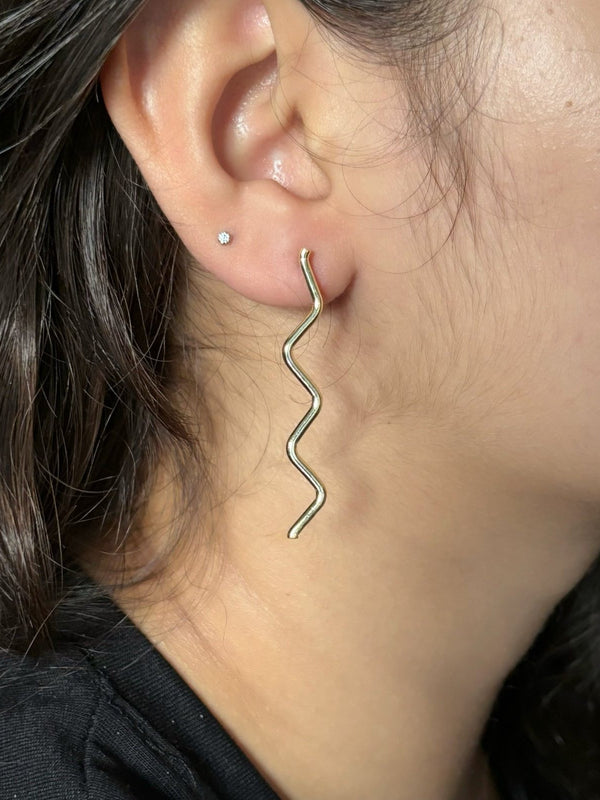 Sculpted Earrings