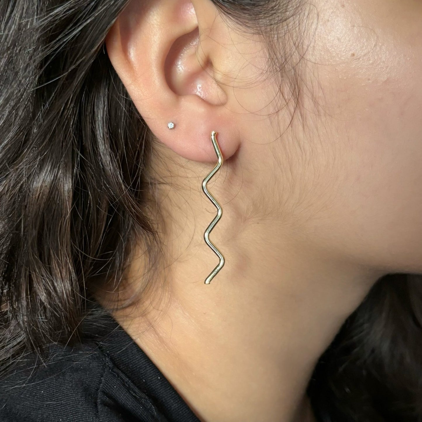 Sculpted Earrings